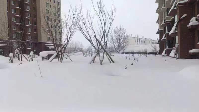 22.jpg 22.jpg